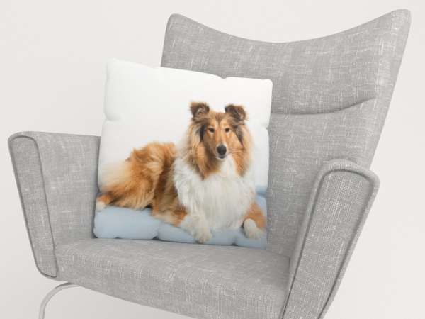Housse de coussin : JOLIE COLLIE