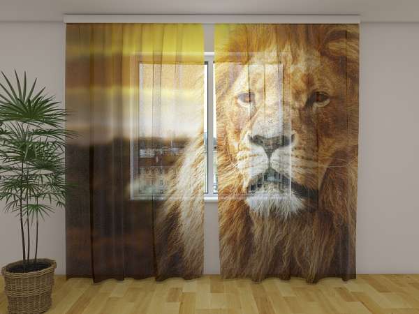 Rideau en mousseline : LION DANS LA SAVANE