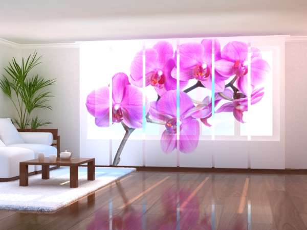 Rideau coulissant (1-6 pcs.) : BONHEUR VIOLET