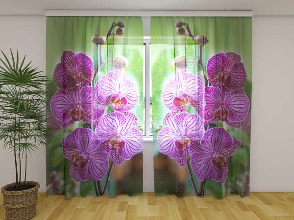 Rideau en mousseline : ORCHIDÉES DE BABYLONE