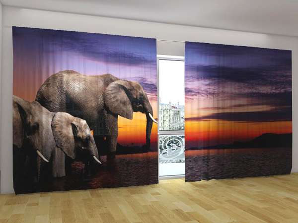 Rideau grand format : ÉLÉPHANTS AU COUCHER DU SOLEIL