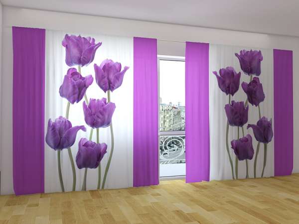 Rideau grand format : TULIPES VIOLES 1