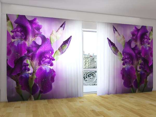 Rideau grand format : IRIS DE COULEUR VIOLET