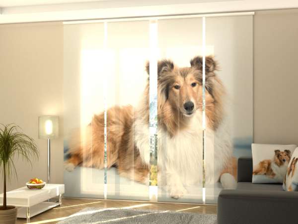 Rideau coulissant (1-4 pcs.) : JOLIE COLLIE