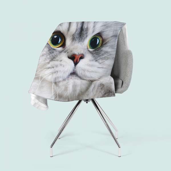 Couverture : CHAT GRIS