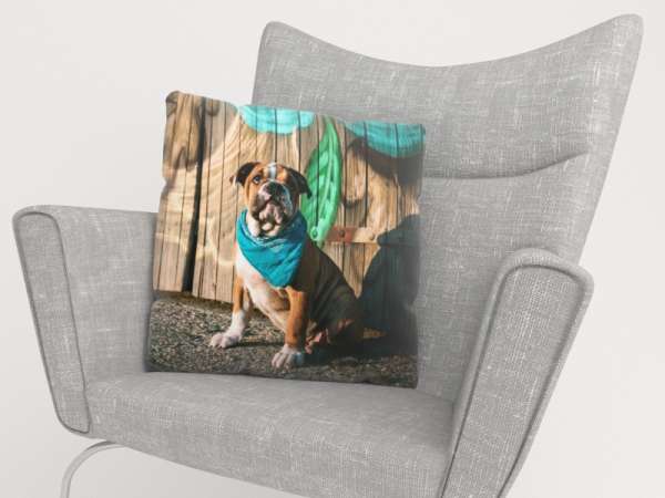 Housse de coussin : CHIOT BULLDOGE ANGLAIS