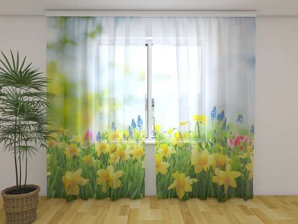 Rideau en mousseline : CHAMP DE JONQUILLES