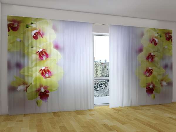 Rideau grand format : ORCHIDÉES JAUNES
