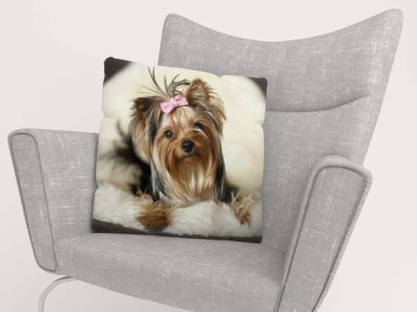 Housse de coussin : YORKSHIRE TERRIER 1