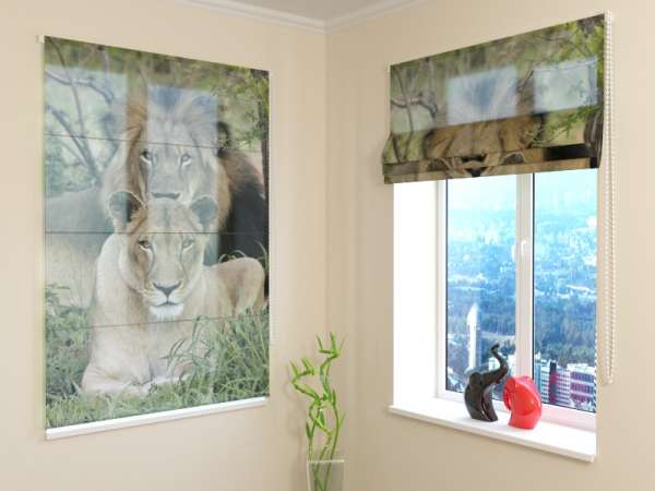 Store Romain : LIONS DANS LA SAUVAGE