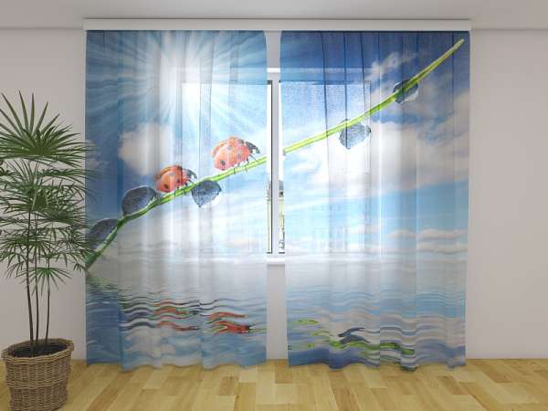 Rideau en mousseline : COCCINELLE ET SOLEIL