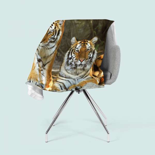 Couverture : TIGRE DE CHARME