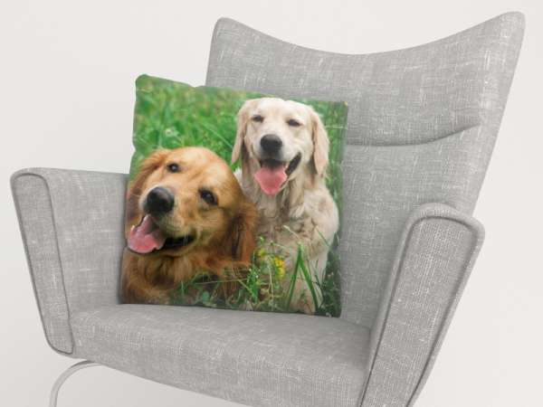 Housse de coussin : CHIENS DU LABRADOR SUR LA PRÉ
