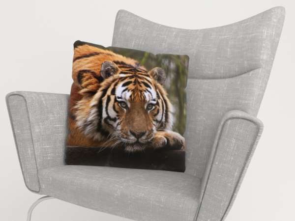 Housse de coussin : SAGESSE DU TIGRE