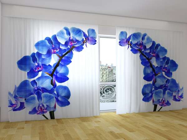 Rideau grand format : ORCHIDÉES BLEUE