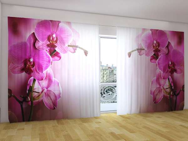 Rideau grand format : ORCHIDÉES VIOLES