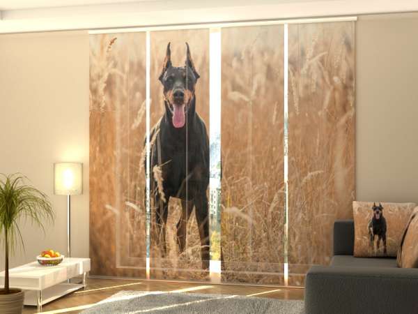 Rideau coulissant (1-4 pcs.) : DOBERMAN DANS UN CHAMP DE BLÉ