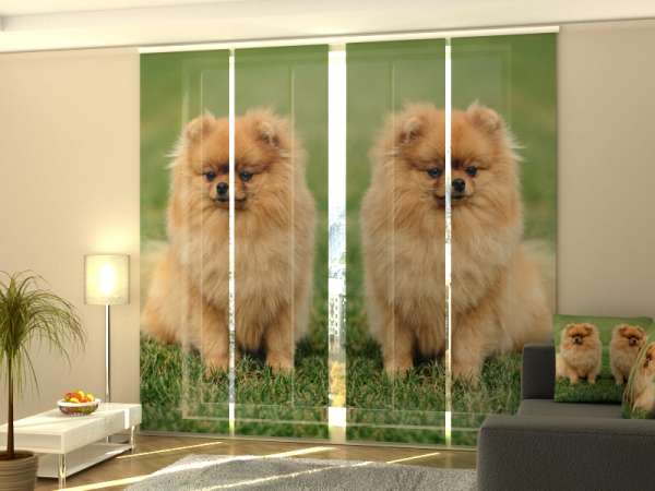 Rideau coulissant (1-4 pcs.) : CHIENS DE POMÉRANIEN BRUN