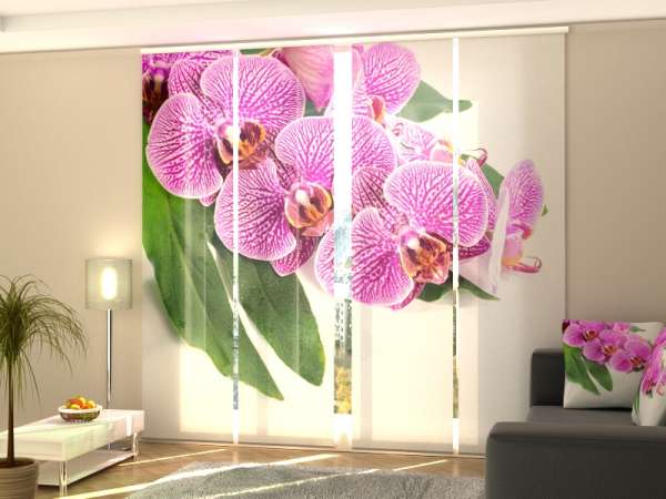 Rideau coulissant (1-4 pcs.) : ORCHIDÉE SUR FEUILLE VERTE