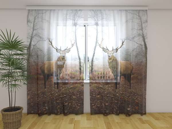 Rideau en mousseline : CERF DANS LA FORÊT