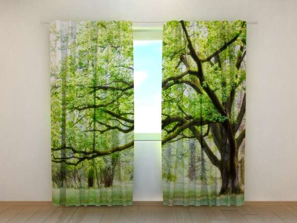 Rideau imprimé : ARBRE VERT
