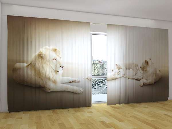 Rideau grand format : LIONS BLANCS