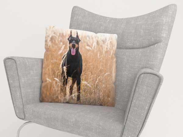 Housse de coussin : DOBERMAN DANS UN CHAMP DE BLÉ