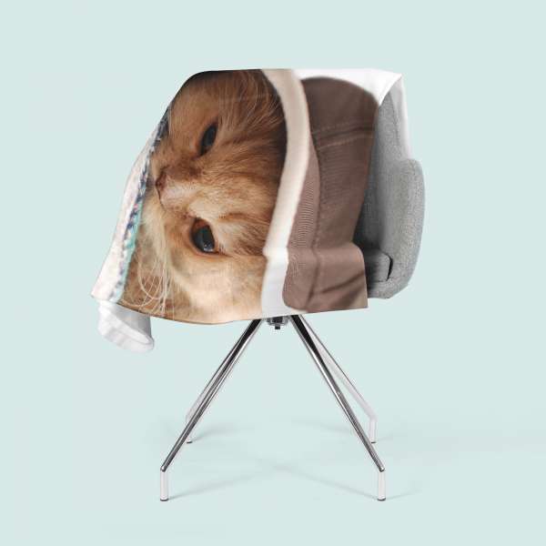 Couverture polaire : CHAT AVEC CHAPEAU