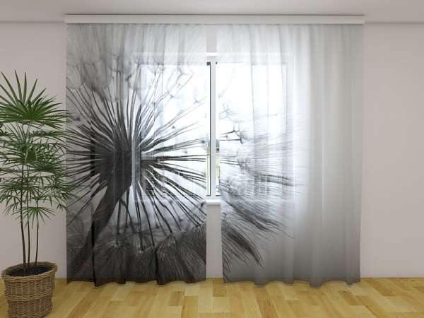 Rideau en mousseline : PISSENLIT NOIR ET BLANC
