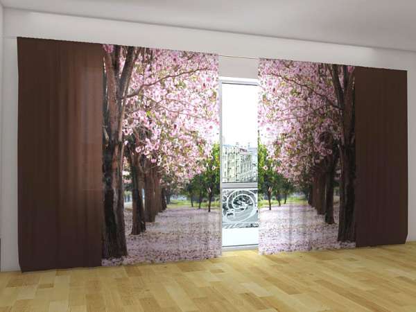 Rideau grand format : FLEUR DE MAGNOLIA