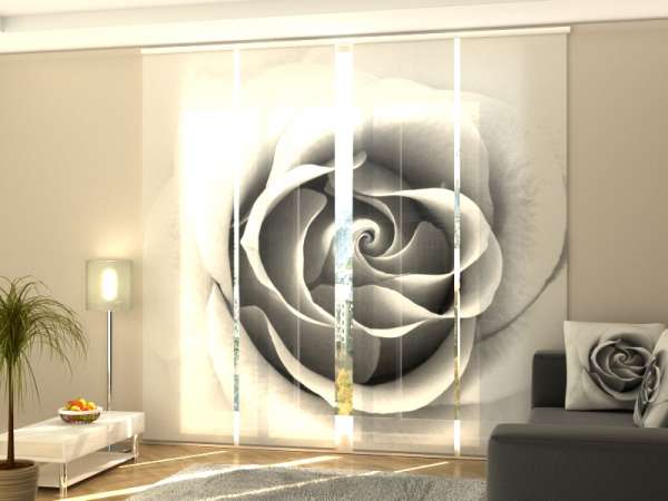 Rideau coulissant (1-4 pcs.) : ROSE GRIS