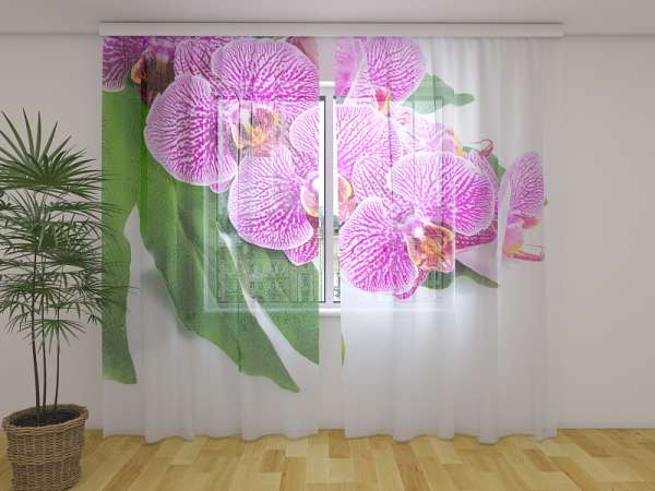Rideau en mousseline : ORCHIDÉE SUR FEUILLE VERTE