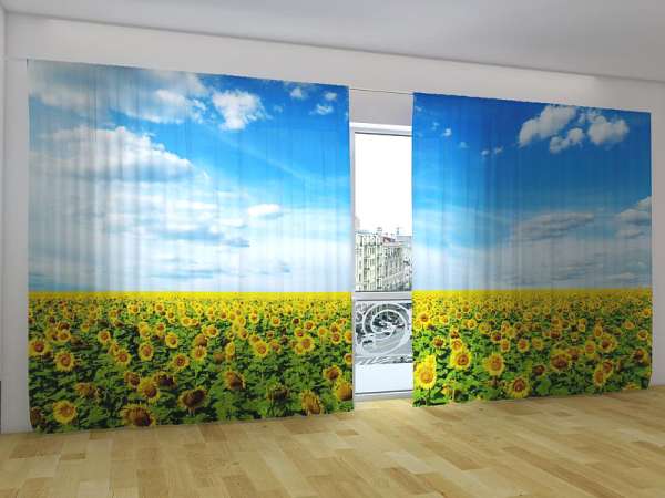 Rideau grand format : CHAMP DE TOURNESOL
