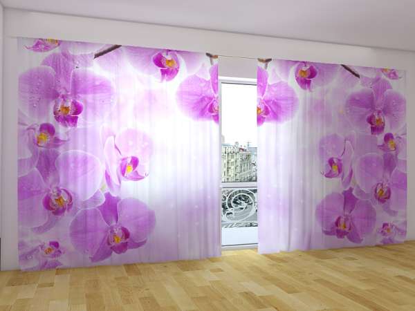 Rideau grand format : ORCHIDÉES ET ÉTOILES