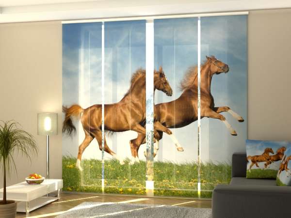 Rideau coulissant (1-4 pcs.) : CHEVAUX DE COURSE
