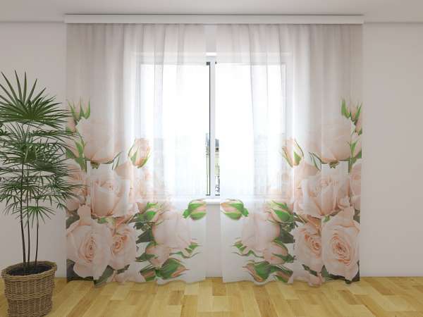Rideau en mousseline : ROSES À LA CRÈME