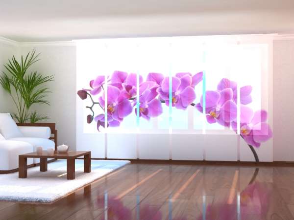 Rideau coulissant (1-6 pcs.) : GRANDE ORCHIDÉE EN VIOLET