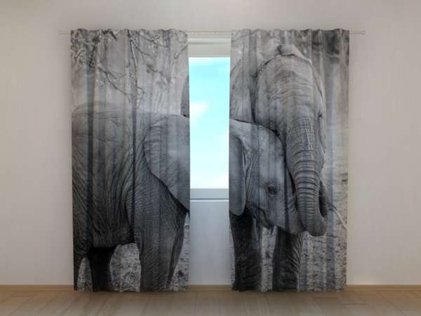 Rideau imprimé : ÉLÉPHANTS NOIR ET BLANC
