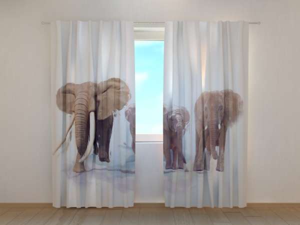 Rideau imprimé : FAMILLE ÉLÉPHANT