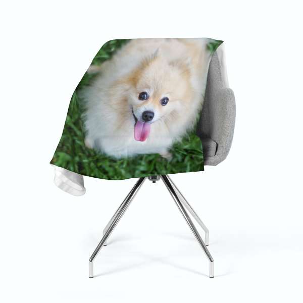 Couverture polaire : CHIEN POMÉRANAN HEUREUX