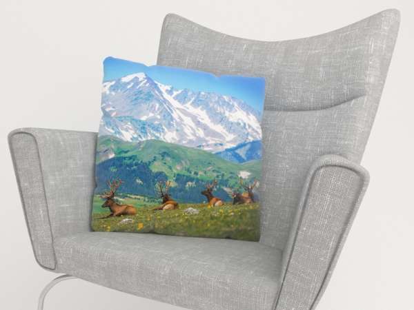Housse de coussin : L'ORIGNAL DANS L'ALAGE
