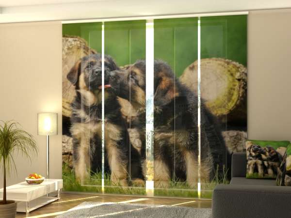 Rideau coulissant (1-4 pcs.) : MIGNONS CHIENS DE BERGER ALLEMAND