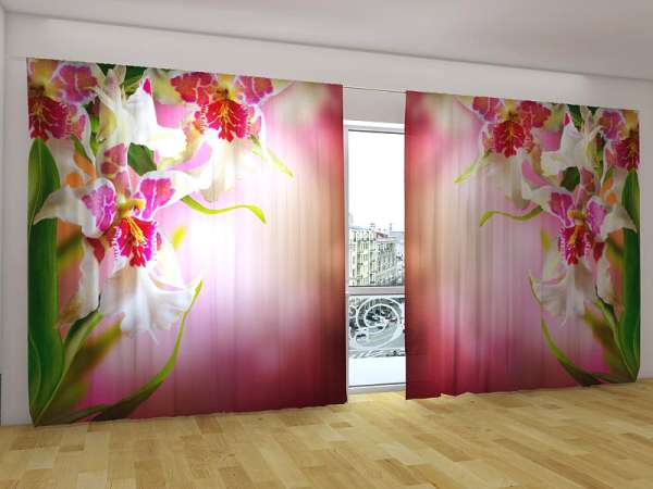 Rideau grand format : ORCHIDÉES POINTÉES