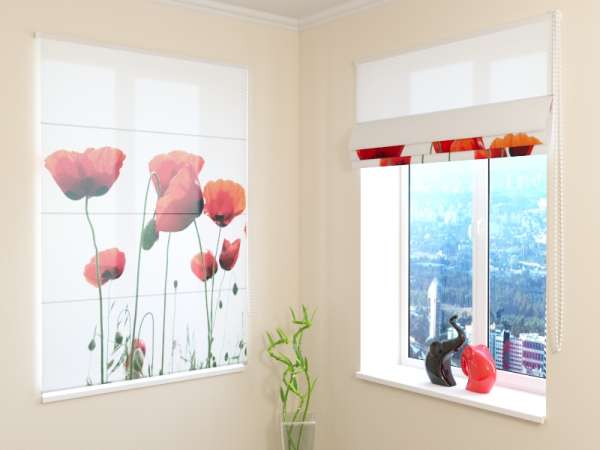 Store Romain : COQUELICOTS HOLLANDAIS