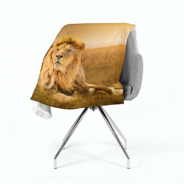 Couverture polaire : ROI LION