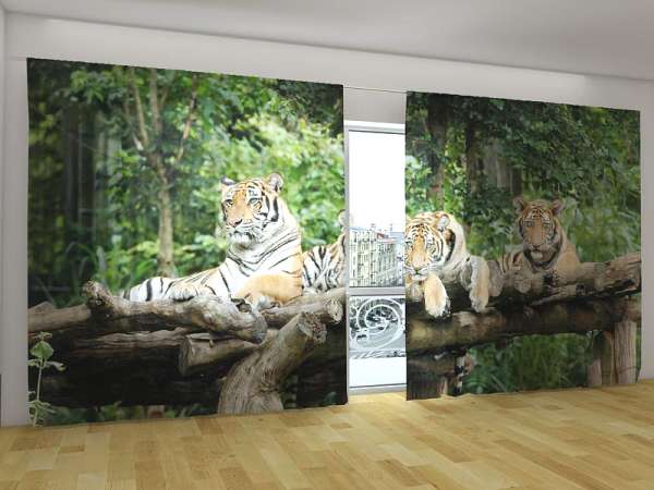 Rideau grand format : JEUNE TIGRE