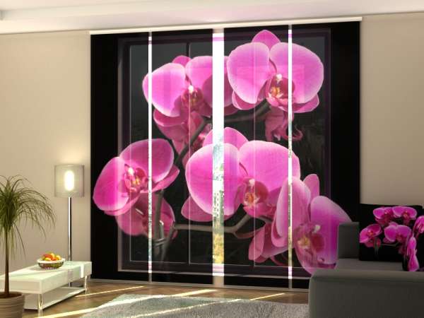 Rideau coulissant (1-4 pcs.) : BRANCHE D'ORCHIDÉE