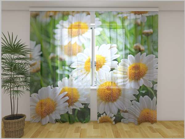 Rideau en mousseline : CAMOMILLES BLANCHES