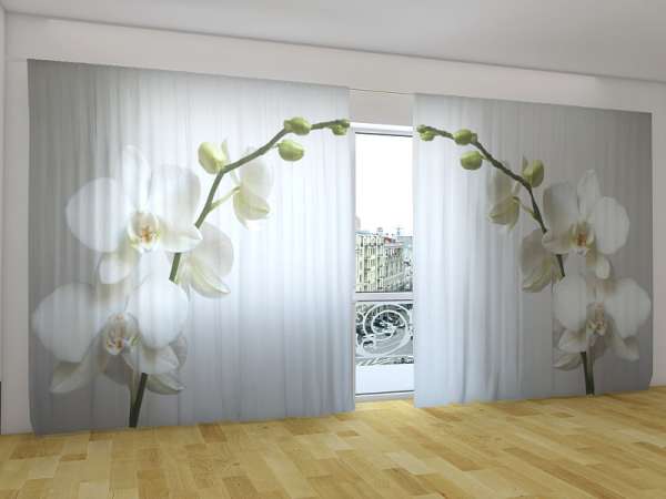 Rideau grand format : ORCHIDÉE DE RIGA