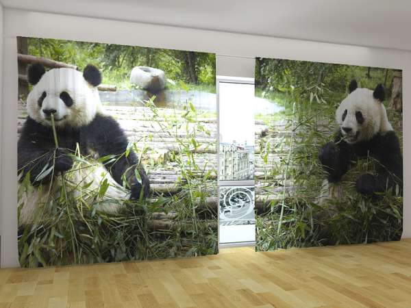 Rideau grand format : PANDAS MIGNONS